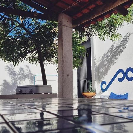Quintinha Do Sal - Casa Das Flores Alcácer do Sal Екстериор снимка